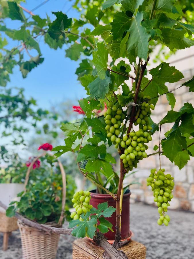 Tzavelitiko Home Himare Luaran gambar